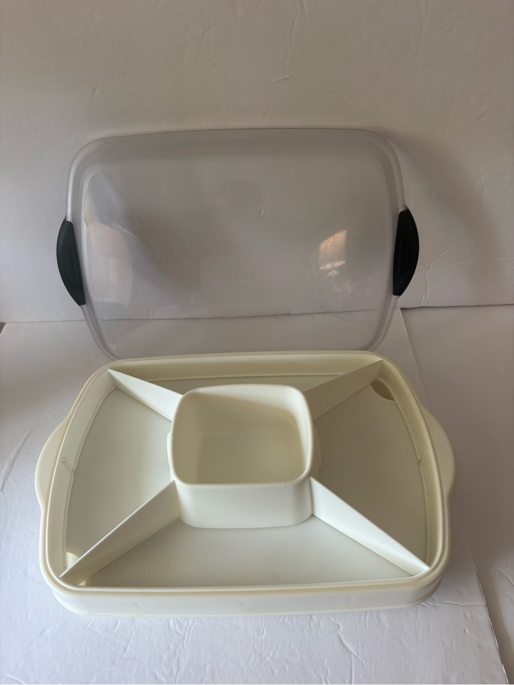 Pampered Chef Chillzanne Rectangular Tray & Lid for Fruits Veggies Deviled Eggs
